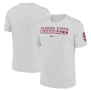 Florida State Nike Dri-Fit Velocity Baseball Tee